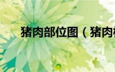 猪肉部位图（猪肉梅花肉是哪个部位）