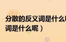 分散的反义词是什么呢标准答案（分散的反义词是什么呢）
