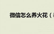 微信怎么养火花（养火花什么意思啊）