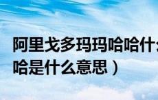 阿里戈多玛玛哈哈什么意思（阿里嘎多玛玛哈哈是什么意思）