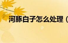 河豚白子怎么处理（河豚的白子怎么吃）