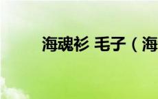 海魂衫 毛子（海魂衫毛子什么梗）