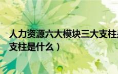 人力资源六大模块三大支柱是什么（人力资源六大模块三大支柱是什么）
