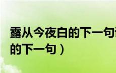露从今夜白的下一句诗词是什么（露从今夜白的下一句）
