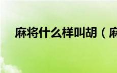 麻将什么样叫胡（麻将胡有哪些叫法啊）