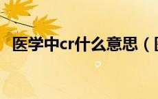医学中cr什么意思（医学上Cr是什么意思）