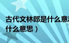 古代文林郎是什么意思（封建社会的文林郎是什么意思）
