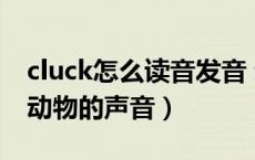 cluck怎么读音发音 动物叫声（cluck是什么动物的声音）