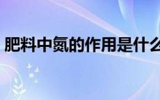 肥料中氮的作用是什么（氮肥的作用是什么）