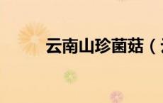 云南山珍菌菇（云南山珍有哪些）