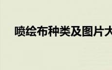 喷绘布种类及图片大全（喷绘布的种类）