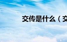 交传是什么（交传是什么意思）