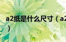 a2纸是什么尺寸（a2纸尺寸 a2纸尺寸是多少）