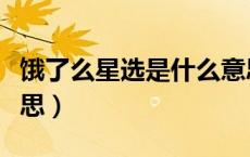 饿了么星选是什么意思（饿了么星选是什么意思）