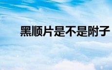 黑顺片是不是附子（黑顺片是附子吗）