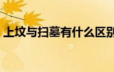 上坟与扫墓有什么区别（上坟和扫墓的区别）