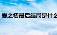 爱之初最后结局是什么（爱之初最后大结局）