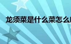 龙须菜是什么菜怎么吃（龙须菜是什么菜）