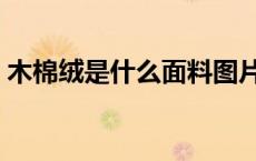 木棉绒是什么面料图片（木棉绒是什么面料）