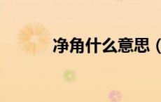 净角什么意思（净角什么意思）