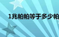 1兆帕帕等于多少帕（1g帕等于多少帕）