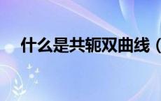 什么是共轭双曲线（什么是共轭双曲线）