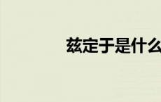 兹定于是什么意思用于哪里