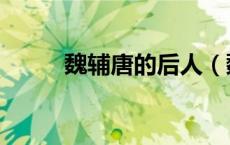 魏辅唐的后人（魏辅唐怎么死的）