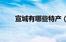 宣城有哪些特产（宣城有哪些特产）