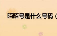 陌陌号是什么号码（陌陌号是什么意思）