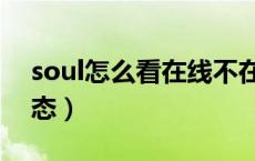 soul怎么看在线不在线（soul怎么看在线状态）