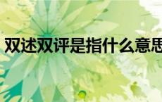 双述双评是指什么意思（双述双评是指什么）
