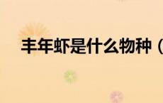 丰年虾是什么物种（丰年虾是什么东西）
