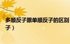 多顺反子跟单顺反子的区别（什么叫单顺反子解释下单顺反子）