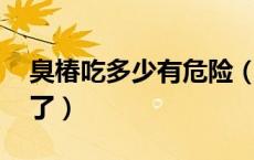 臭椿吃多少有危险（臭椿能吃吗 大家要注意了）