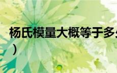 杨氏模量大概等于多少（杨氏模量单位是什么）
