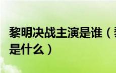 黎明决战主演是谁（黎明决战宋红菱真实身份是什么）