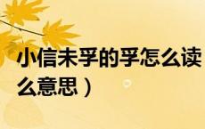 小信未孚的孚怎么读（文言文小信未孚的孚什么意思）