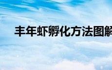 丰年虾孵化方法图解（丰年虾孵化方法）
