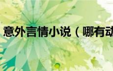 意外言情小说（哪有动情是意外类型的小说）