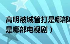 高明被城管打是哪部电视剧（陆国明被城管打是哪部电视剧）