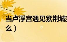当卢浮宫遇见紫荆城第一集观后感（当卢是什么）