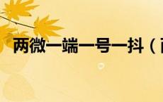 两微一端一号一抖（两微一端一抖指什么）