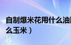 自制爆米花用什么油比较好（自制爆米花用什么玉米）