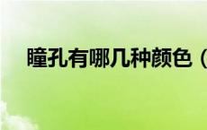 瞳孔有哪几种颜色（瞳孔颜色有多少种）
