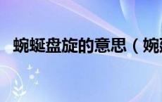 蜿蜒盘旋的意思（婉廷盘旋的意思是什么）