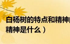 白杨树的特点和精神的作文（白杨树的特点和精神是什么）