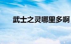 武士之灵哪里多啊（武士之灵哪里多）