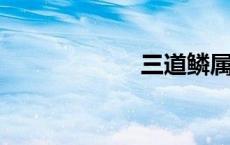 三道鳞属于什么鱼