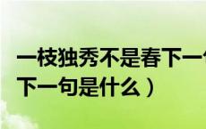 一枝独秀不是春下一句什么（一枝独秀不是春下一句是什么）